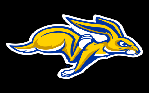 Follow PinskStroy Basketball – Schedules, Results, and Game Analysis