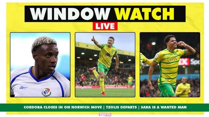 Norwich City FC Transfer News 2024： Player Moves, Contracts, and Deals