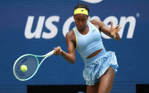Thiago Seyboth Wild Tennis Live Score: Real-Time Match Updates