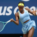 Thiago Seyboth Wild Tennis Live Score: Real-Time Match Updates