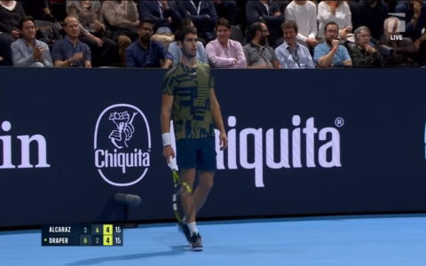Nike Tennis Shoes Alcaraz Wears: Top Picks & Exclusive Models