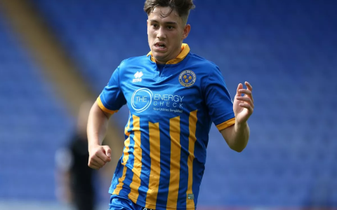 All the Latest Hull City Transfer News: Incoming and Outgoing Moves