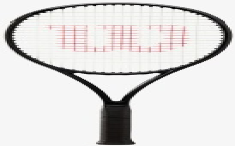 Adrian Mannarino’s Tennis Racquet Specs: Babolat Pure Aero and String Tension Explained