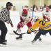 Mass High School Hockey Tournament, which teams are favorites this year