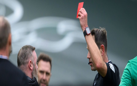 Argyle Football Score, Latest Match Results and Highlights