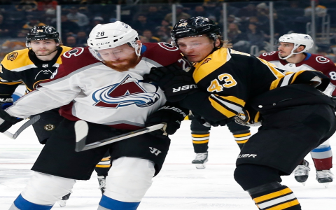 Avalanche Ice Hockey NJ, Discover the Best Local Teams and Games