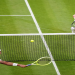 Checking Elias Ymer Score: Quick and Easy Way to See His Latest Performance!
