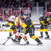 Whats the hc litvinov score? Find out here instantly!
