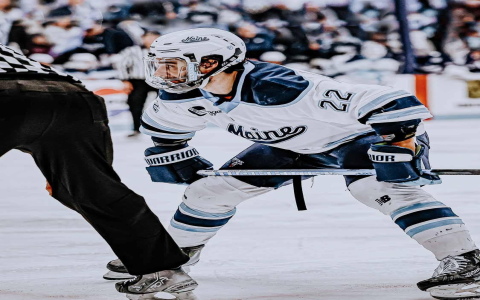 Brady Flynn Hockey: Check Out His Career Highlights and Impressive Stats Now
