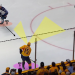 Hingham Hockey: A Beginners Guide to the Game, the Rules, and the Fun