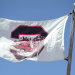 south carolina mens tennis schedule 2024: Dont Miss a Single Serve!