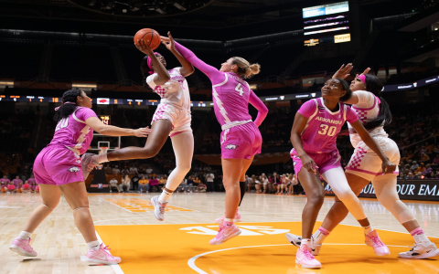 Get Tickets for Haneda Vickies Womens Basketball game 2024!