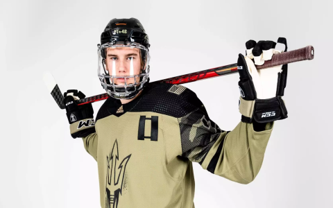 Mike Robinson Hockey: Stats, and playing History