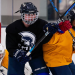 Plan Your Season: Full Archbishop Williams Hockey Schedule and Opponents.