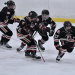 Reading MA Hockey: Where to Watch, Play, and Get Involved!