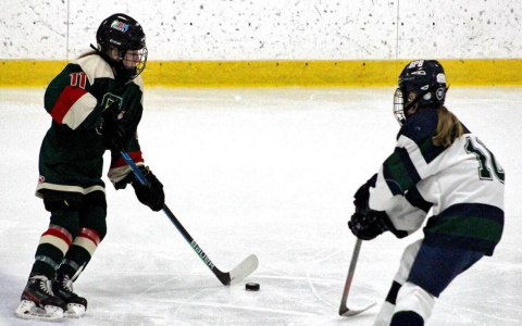 Play Riil Hockey: Find Games and Leagues Near You Now