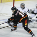 e9 hockey league Rules: Get the quick Facts for players!