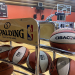 Learn About cibacopa basketball(Easy for new fans!)