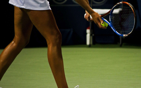 Sunnyvale Tennis: Find Courts & Lessons (Best Local Guide)